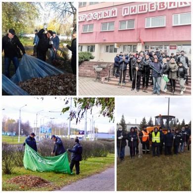 Организации Первомайского района г.Бобруйска приняли  участие  в городском субботнике