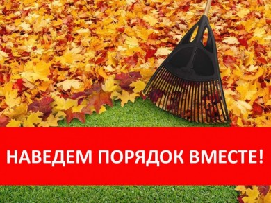Городской субботник пройдет в Бобруйске 15 октября
