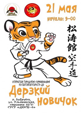 21 мая состоятся соревнования по шотокан каратэ-до «Дерзкий новичок»
