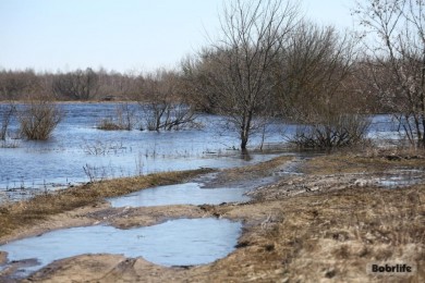 Белгидромет: на большинстве рек Беларуси вода находится на пойме