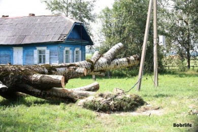 Куда обращаться бобруйчанам, имуществу которых нанесен ущерб во время непогоды