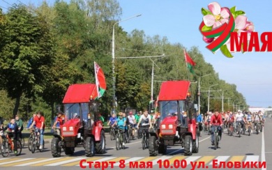 Велопробег «#НавстречуПобеде» состоится 8 мая в Бобруйске