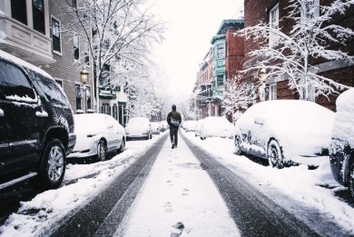 МЧС рекомендует при сильном снеге и метели парковать автомобили вдали от деревьев