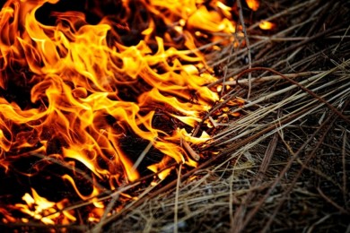 Выжигание сухой растительности запрещено законом