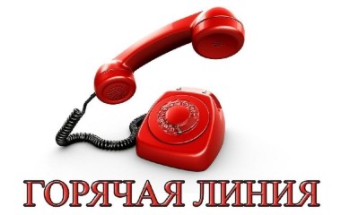 Телефон «горячей линии» 77 75 31