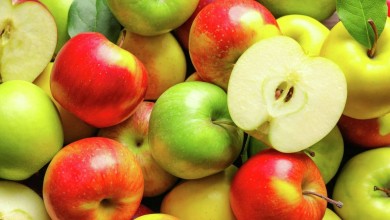 «Красный пищевик» принимает яблоки поздних сортов у населения