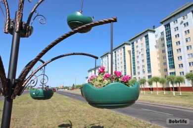 Более 630 тысяч цветов украсят Бобруйск в этом году