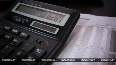 Задолженность по алиментам безработных родителей в Беларуси предлагается привязывать к БПМ