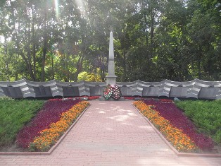 3024  Братская могила советских воинов, погибших в годы ВОВ в 1941-1945 гг.