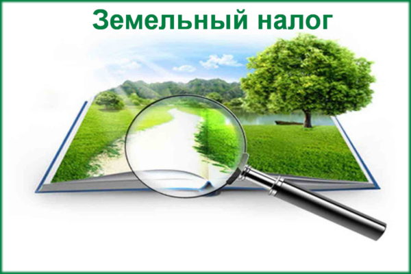 Налоги – 2025: изменения в части земельного налога с организаций