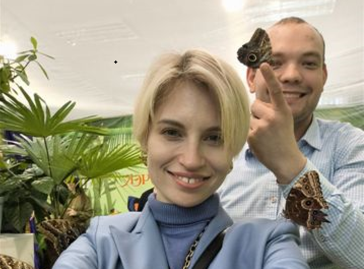 Выставка экзотических бабочек
