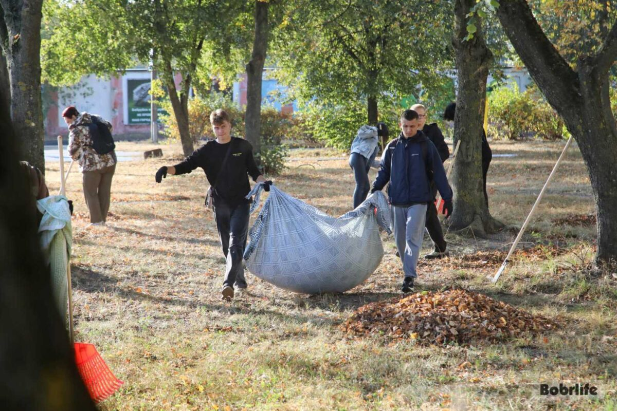 На Могилевщине проходит месячник по благоустройству и озеленению