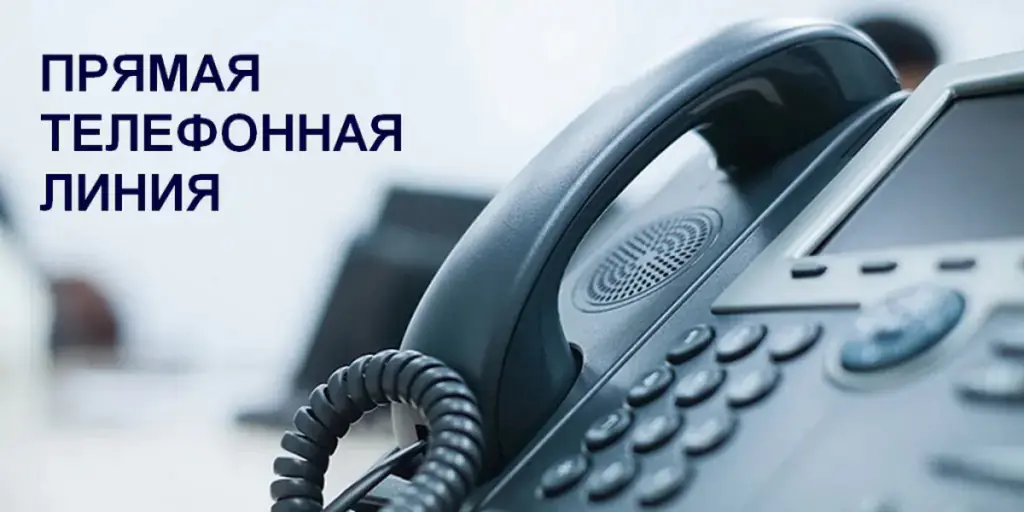Прямая линия по вопросам  государственной поддержки семей с детьми