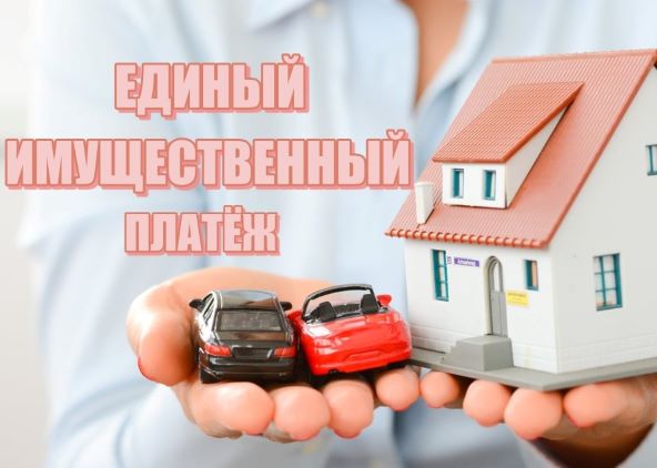 17 ноября – срок уплаты имущественных налогов за 2024 год. Как узнать сумму и оплатить