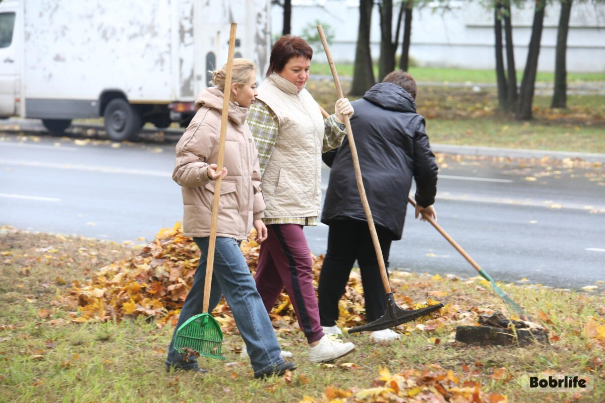 В Минтруда напомнили о правилах безопасности во время осеннего Республиканского субботника