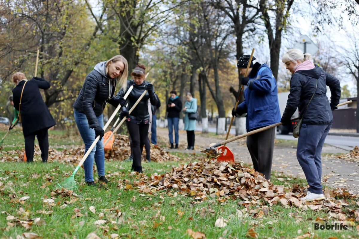 Республиканский субботник-2025: куда перечислять деньги