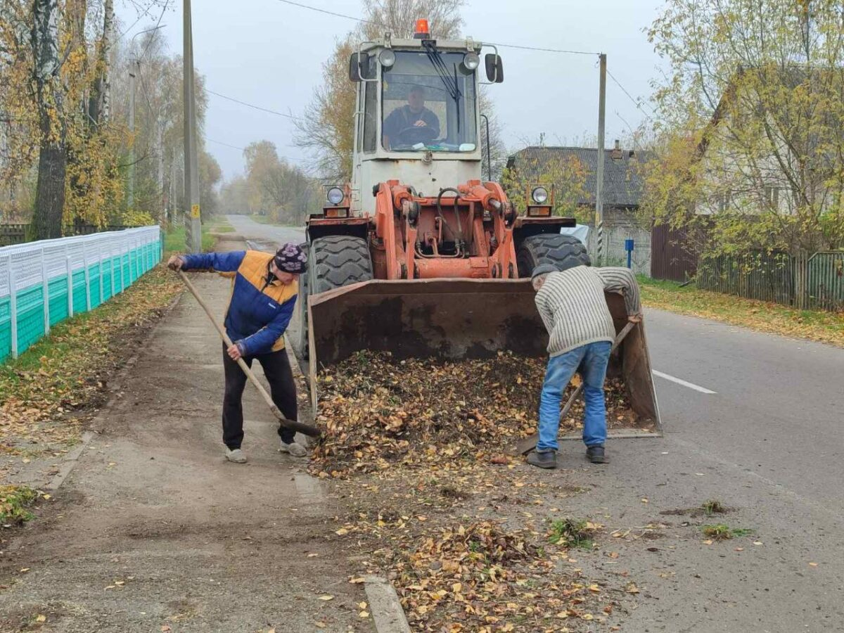 Бобруйск наводит чистоту. А как в частном секторе?