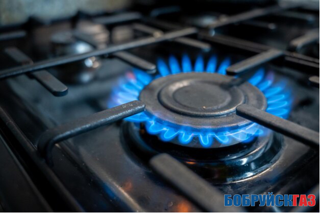 ПУ «Бобруйскгаз» напоминает о правилах обращения с газовыми плитами