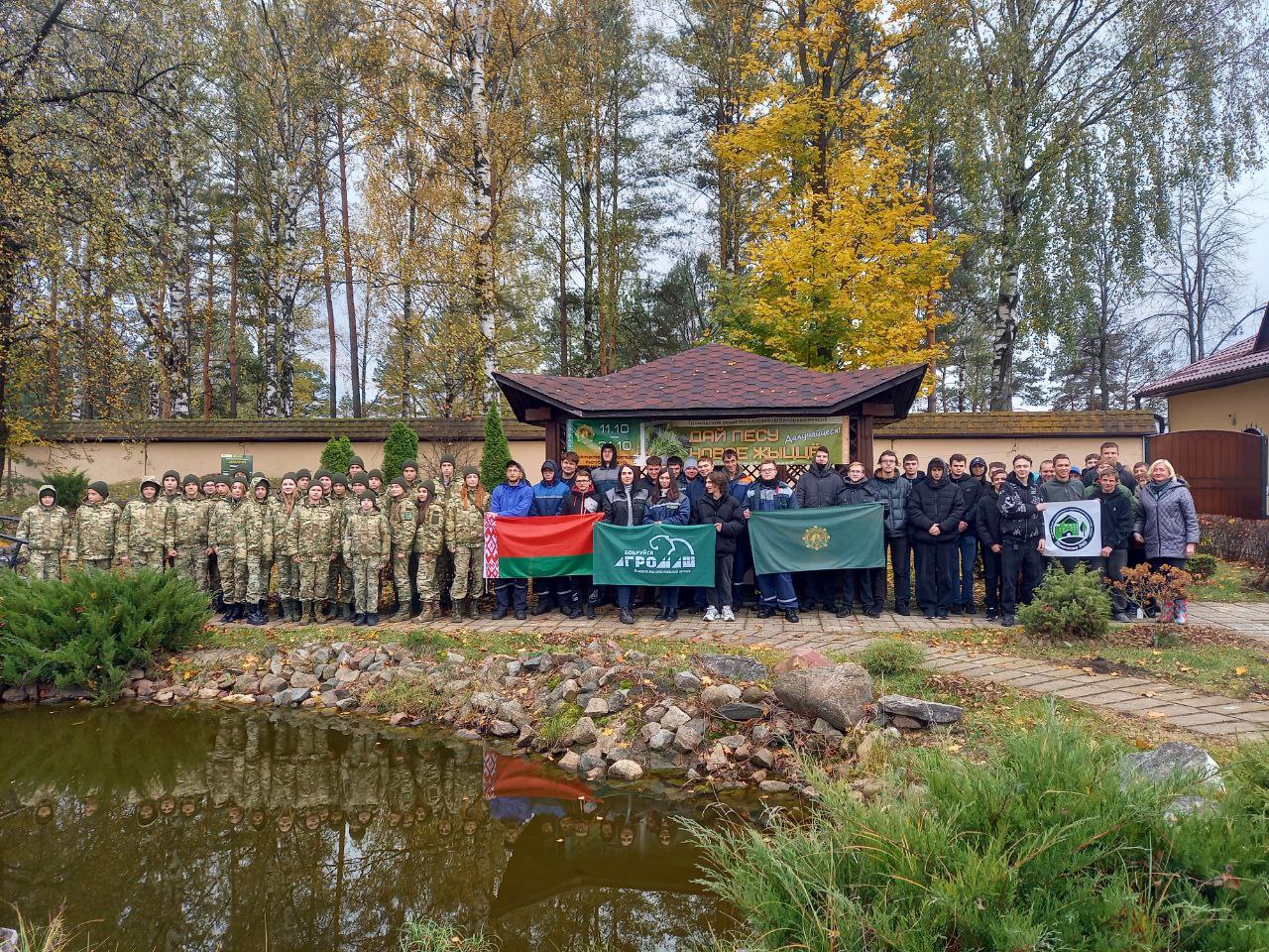 Бобруйск присоединился к акции «Дай лесу новае жыццё»