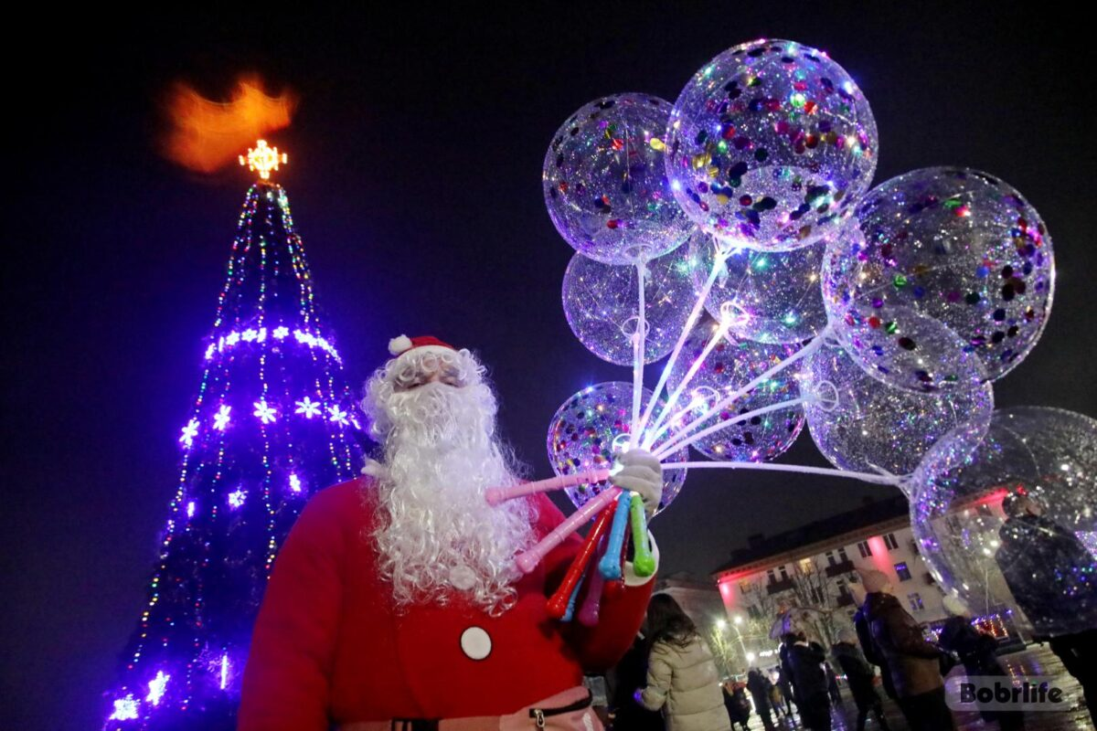 Праздничная ярмарка и елочные базары. Где в Бобруйске организована новогодняя торговля