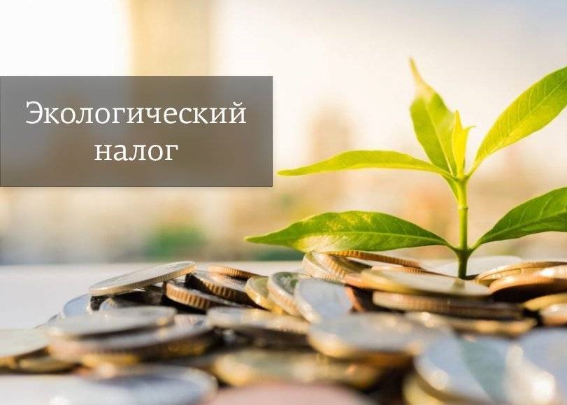 Налоги – 2026: изменения в части экологического налога