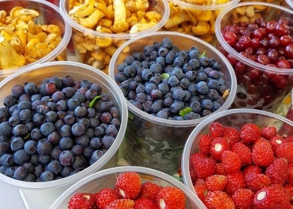 Налоги – 2026: изменения в части сбора с заготовителей