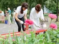 За красоту и комфорт – вместе. Благоустройство города бобруйчанам по плечу