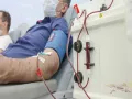 Бобруйчан приглашают принять участие в акции ко Всемирному дню донора крови