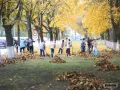 Республиканский субботник пройдет в Беларуси 25 октября